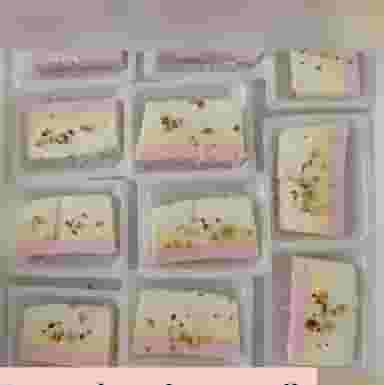 تولیدی بستنی محمدی شهرک صنعتی نیشابور