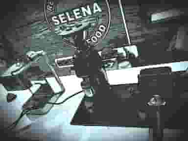 کافه رستوران سلنا فود در شهر نسیم شهر