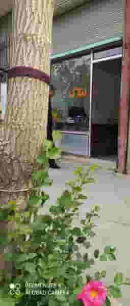 املاک کلتپه در شهر بوکان