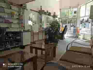 پیرایش رومانس در شهر بوکان