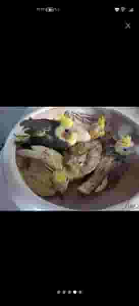 رستوران لیلان در صیاد شیرازی شاهین‌شهر