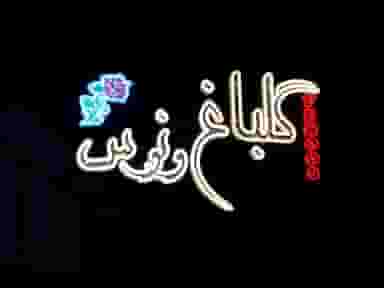 گلباغ ونوس در امیر المومنین کاشان