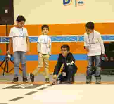 رفسنجان ربات در مطهری رفسنجان