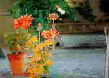 مجتمع تفریحی توریستی سرای هورام در شهر شاهرود