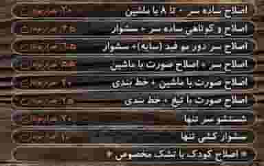 پیرایش پیر دانا در برق شاهرود