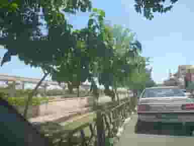 بوستان هفت تیر در قدس اندیمشک