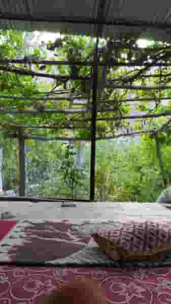 رستوران آفتاب شهرک برق جیرفت