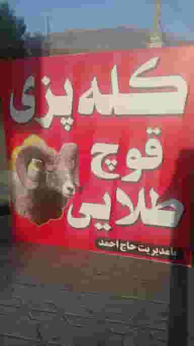 کله پزی قوچ طلایی در شهر دورود