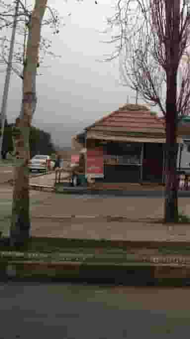 فلافل در پارک بازار لنگرود