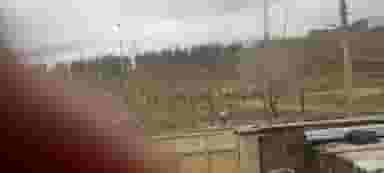 پارک گلستان در شهر کنگاور