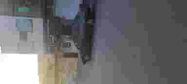 فروشگاه‌ موادغذایی‌ و لبنیات‌ محلی‌ نیاز در کاظم آباد اخوان ورامین