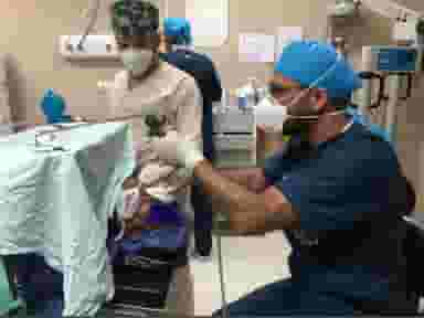 مطب دکتر فرهاد محرابی متخصص گوش حلق بینی در تل زالی یاسوج