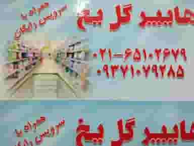 هایپر گل یخ در شهر ملارد