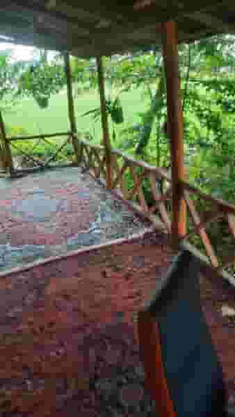 فلافلی اهوازی در شهر اندیشه