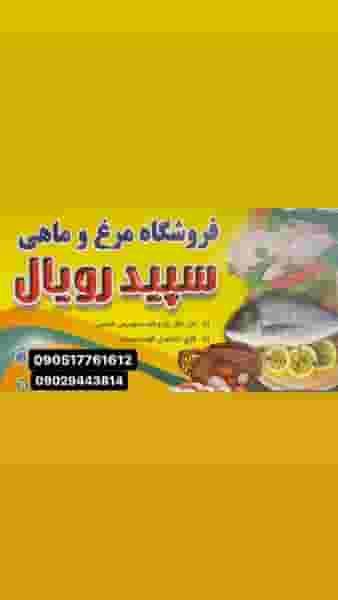 فروشگاه مرغ و ماهی سپید رویال در شرکت گاز ساوه
