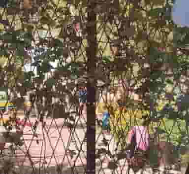 پارک در کارگر آبادان