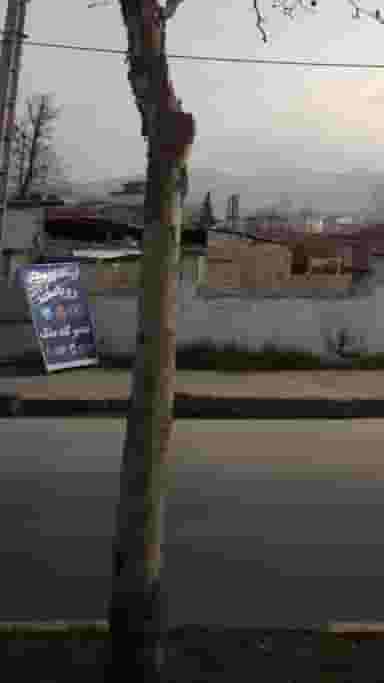 فروشگاه لوازم یدکی رویانیان در کمربندی نوشهر