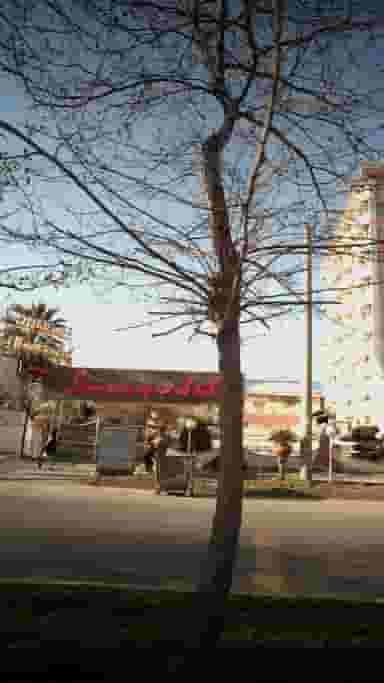 کته کباب پدیده شمال در فرودگاه نوشهر