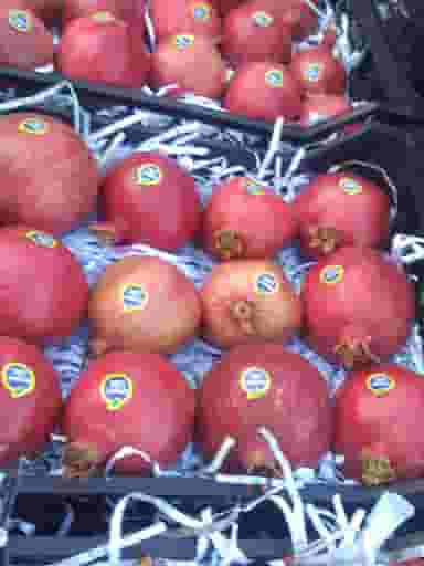 ارزانکده میوه و تره بار شیرازی شهرک مدرس نوشهر