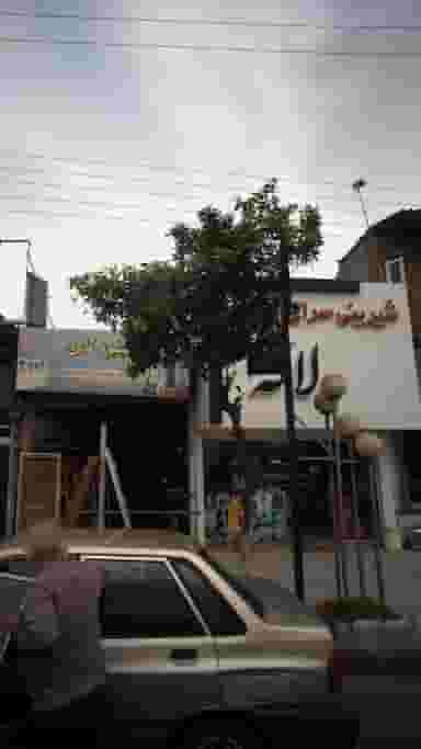 شیرینی سرای لاله در ایزدی فریدون‌کنار