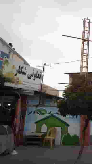 تعاونی شکار در ایزدی فریدون‌کنار