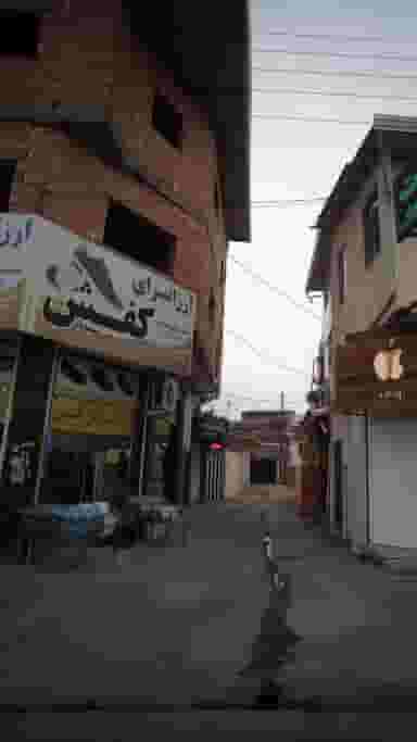 ارزانسرای کفش کمربندی شمالی فریدون‌کنار