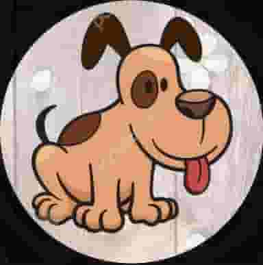 کلینیک و پت شاپ دکتر باروتی در گاپله بروجرد