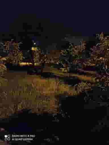 بوستان ذوالفقاری در مجتمع نگین اندیشه بروجرد