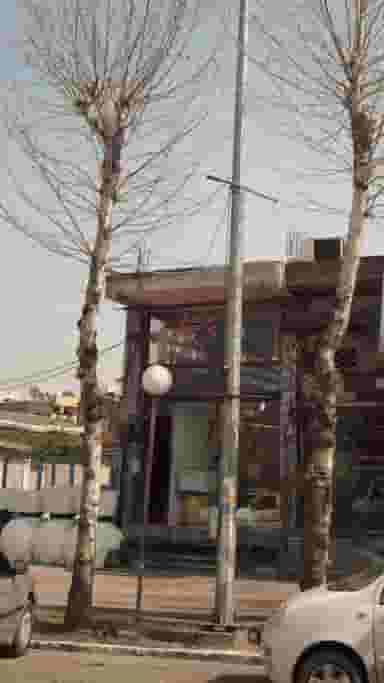 پرسپولیس در اخلاص قائم شهر