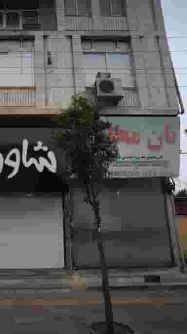 نان محلی زنجبیلی در جویبار قائم شهر