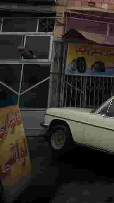 نانوایی لواشی در نشاط قائم شهر