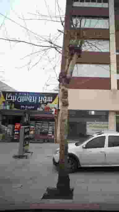 سوپر پروتئین تیکا در آزادی قائم شهر