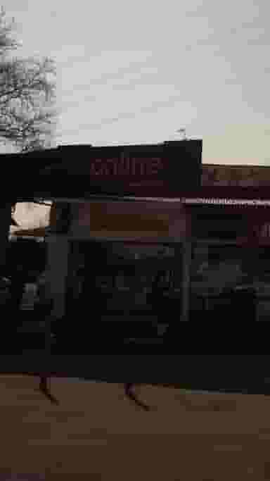 آنلاین در یادگار قائم شهر