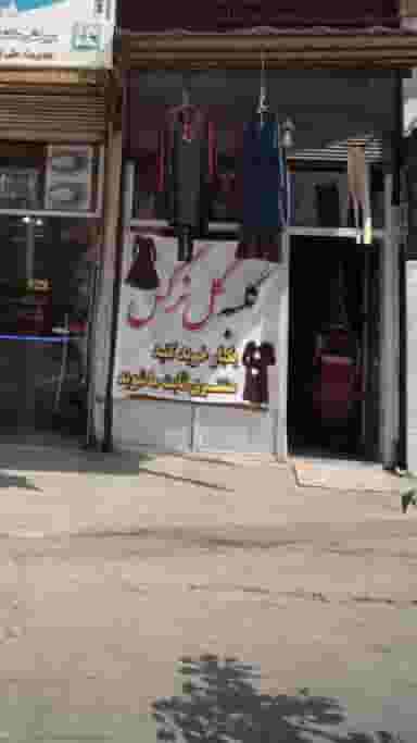 کلبه گل نرگس در گلستان قائم شهر