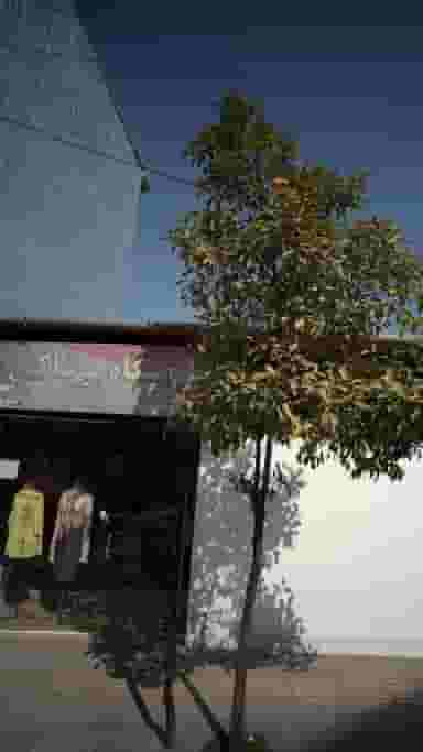 فروشگاه پوشاک پرهام در گلستان قائم شهر