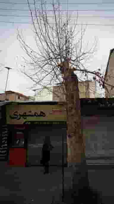 موبایل همشهری در امام خمینی قائم شهر