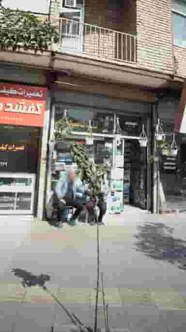 کلبه کاست در گلستان قائم شهر