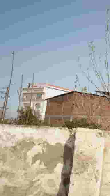 مجتمع تجاری پرستو در گلستان قائم شهر