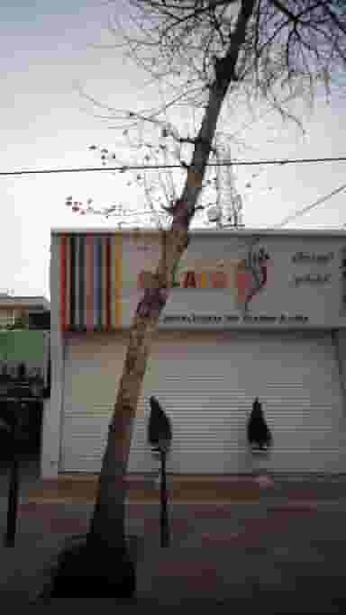 آبمیوه بستنی ژلاتو در مولوی قائم شهر