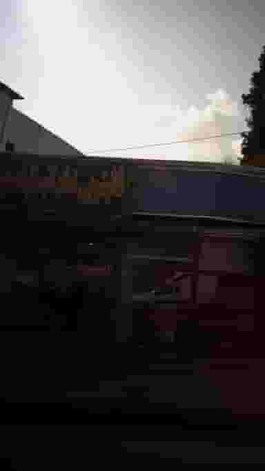 قالیشویی طبرستان در شقایق قائم شهر