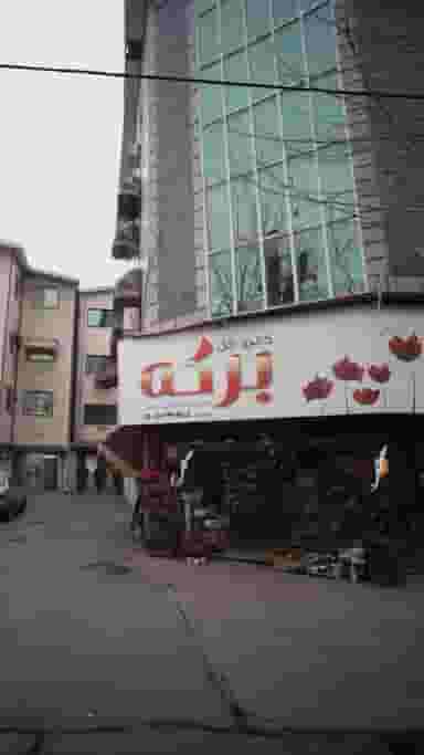 گالری گل برکه در آزادی قائم شهر