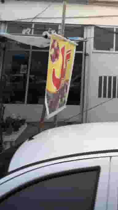 گل در آزادی قائم شهر