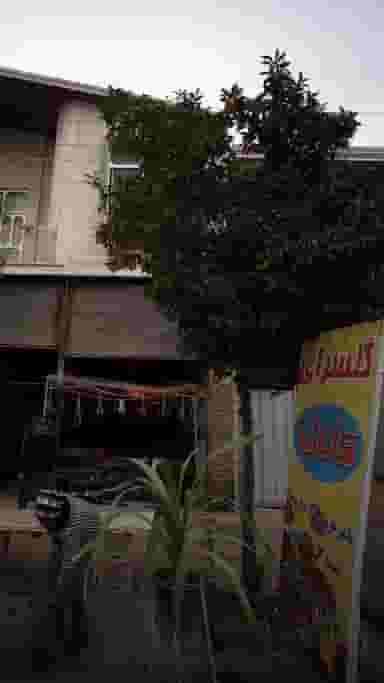 گل سرای کاتالیا در مولوی قائم شهر