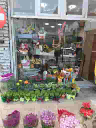 گل فروشی خاطره در امام خمینی قائم شهر