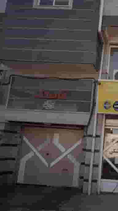 گل قاصدک در مولوی قائم شهر