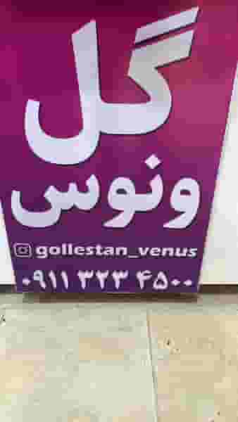 گل ونوس در امام خمینی قائم شهر