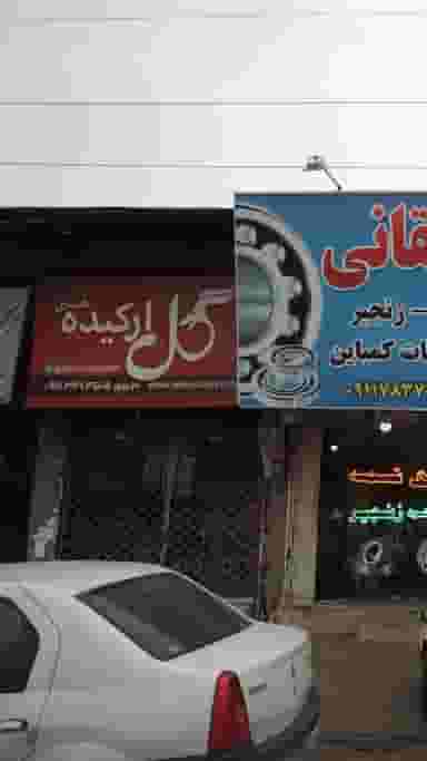 گل ارکیده هستی در اخلاص قائم شهر