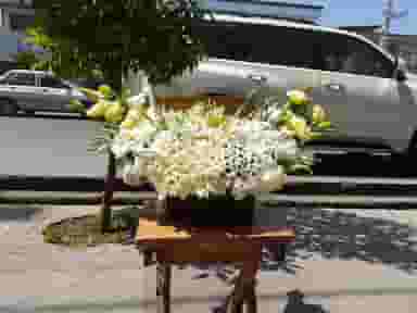 گل سنگ در جویبار قائم شهر