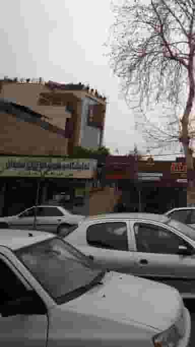 نمایشگاه و فروشگاه قالی سلیمان در نشاط قائم شهر