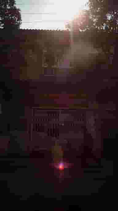 سوپر پروتئینی و مرغ فروشی امید در یادگار قائم شهر